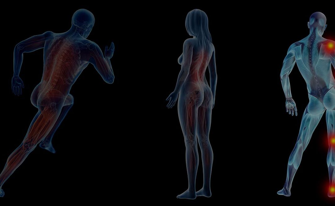 Muscle Activation Technique